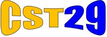 CST29 NIGERIA LIMITED